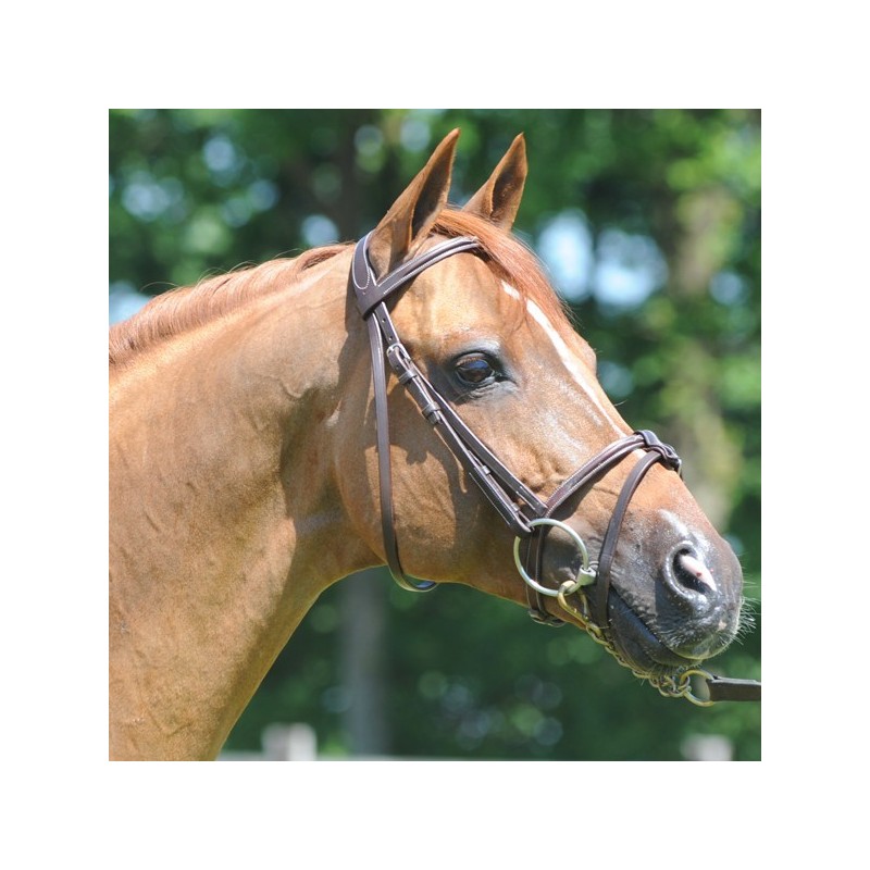 Réservation IAF/IART Meeping Cha de Florys SL