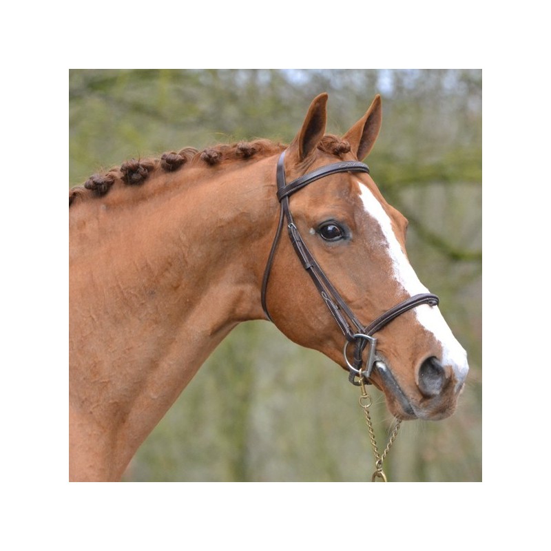 Solde PV Laudator 2026