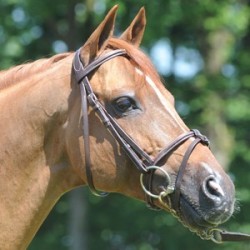 Solde PV Meeping Cha de Florys SL 2026