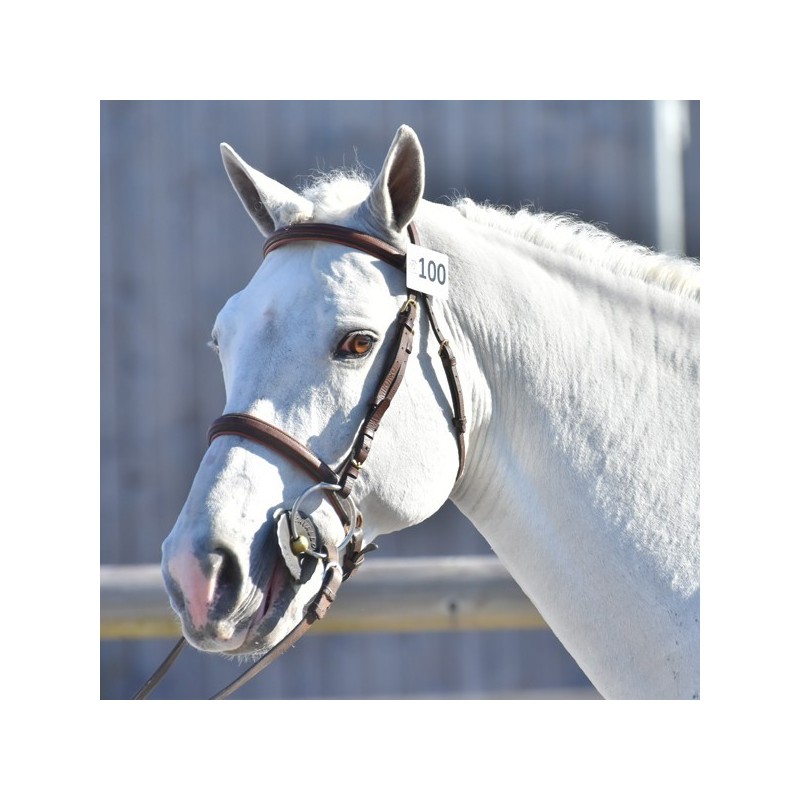 Solde PV Pixies Leam Pondi SL 2026