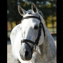 Solde PV Rex The Robber SL 2026