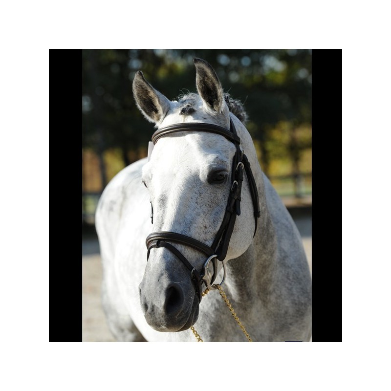 Solde PV Rex The Robber SL 2026