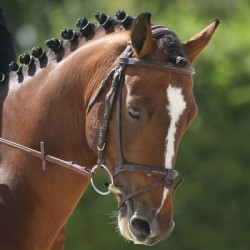 Solde PV Ihaveadream de Jomat 2026