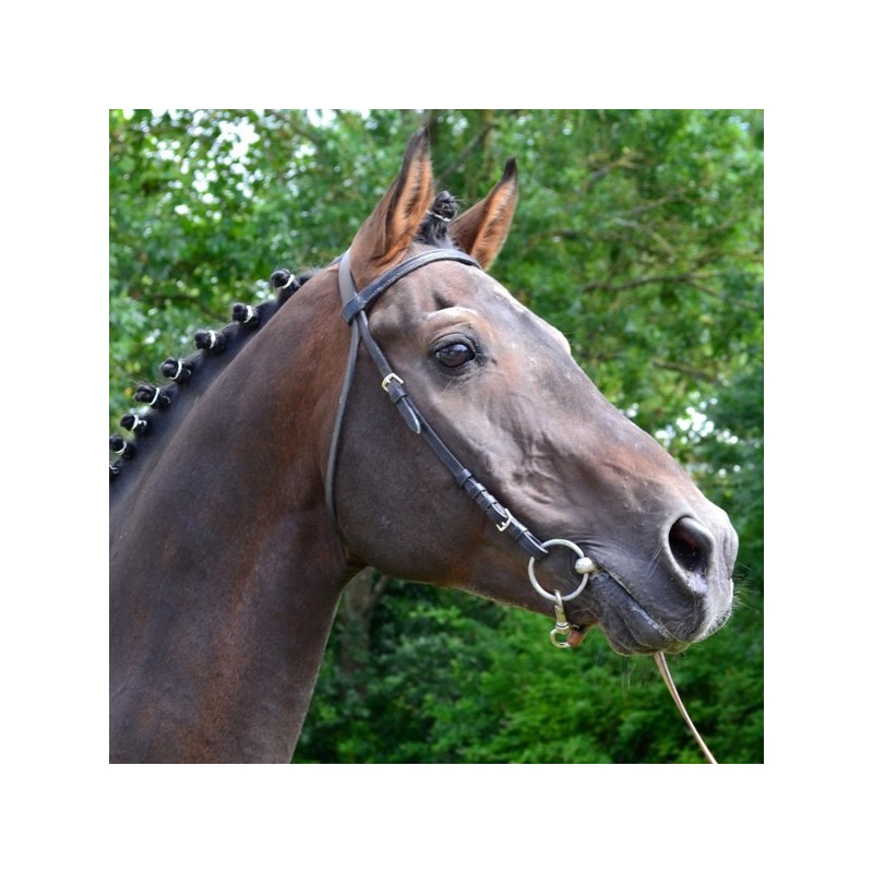 Solde PV Minotauros 2026