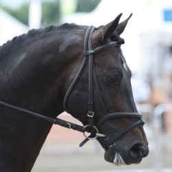 Solde PV Mon Nantano de Florys 2026