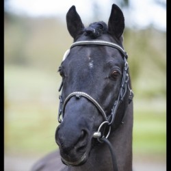 Solde PV Renoir 2026