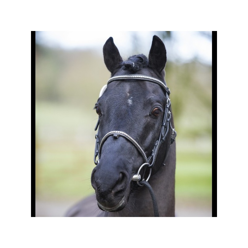 Solde PV Renoir 2026