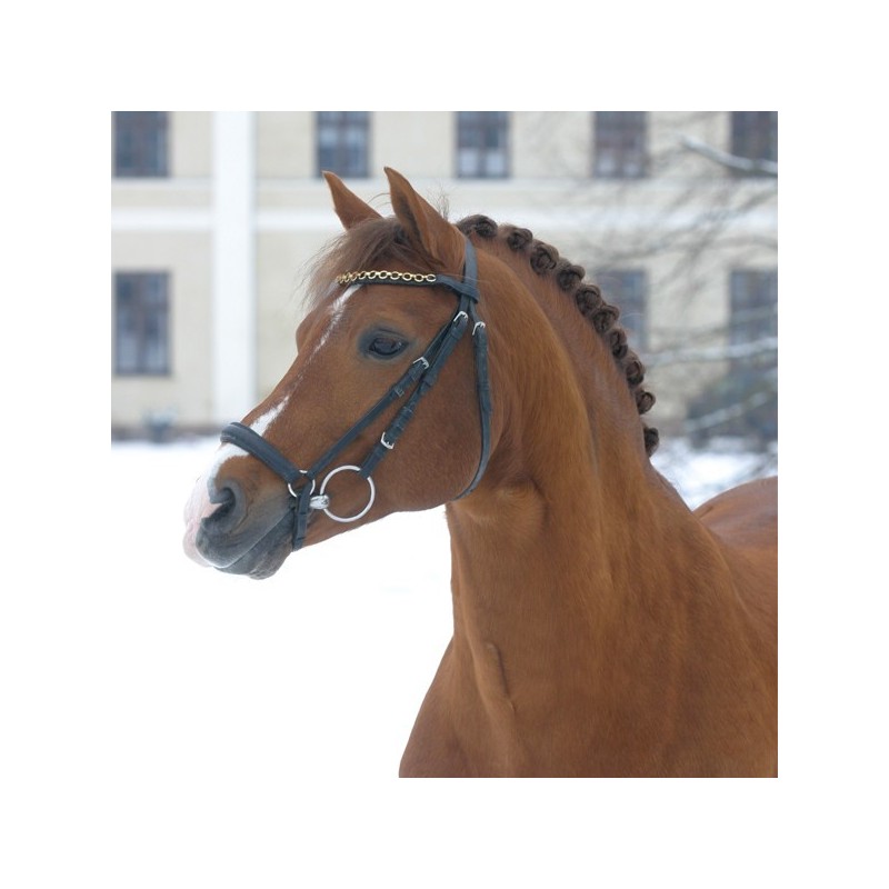 Solde PV Brooklands Moonwalker 2026