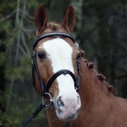 Solde PV Top Nonstop 2026