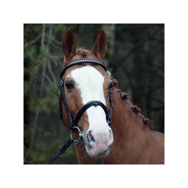 Solde PV Top Nonstop 2026