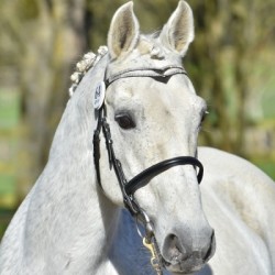 Solde PV Ialoubet 2026