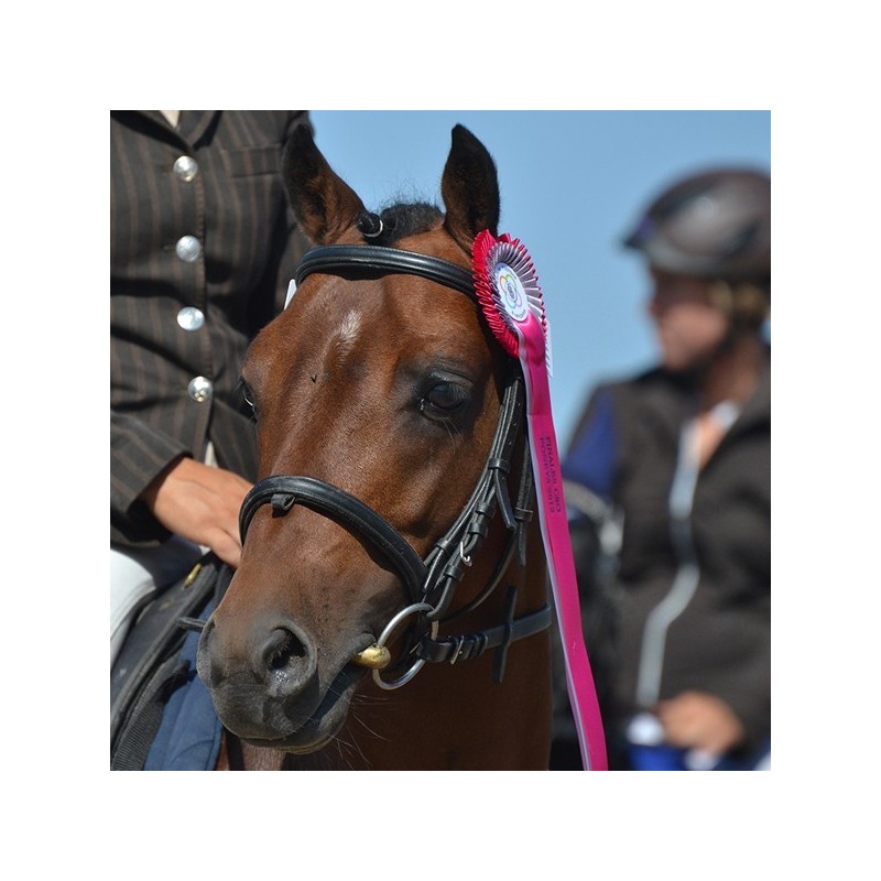 Solde PV Jowourits 2026