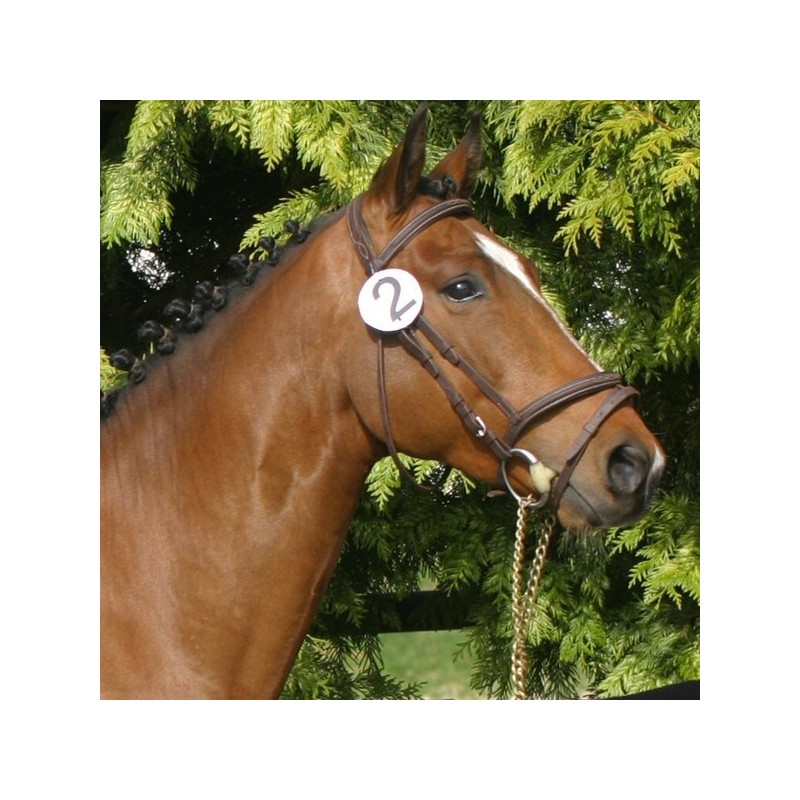 Solde PV Quettino de Florys SL 2026