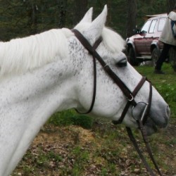 Carte Idefix du Villon SL