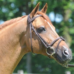 Carte Meeping Cha de Florys SL