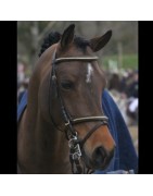 Emmickhoven's Diego SL