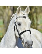 Ialoubet de Florys SL