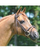 Meeping Cha de Florys SL