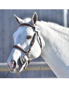 Pixies Leam Pondi SL