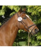 Quettino de Florys SL