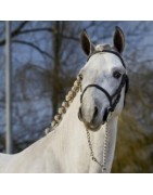 Romeo van de Groenweg SL